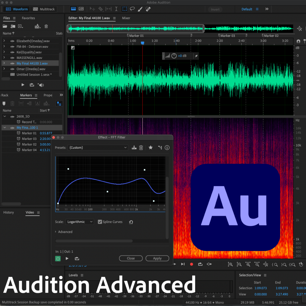 Audition Advanced Techniques